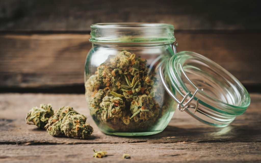 Kuinka säilyttää kannabista pitkäaikaisen tuoreuden takaamiseksi