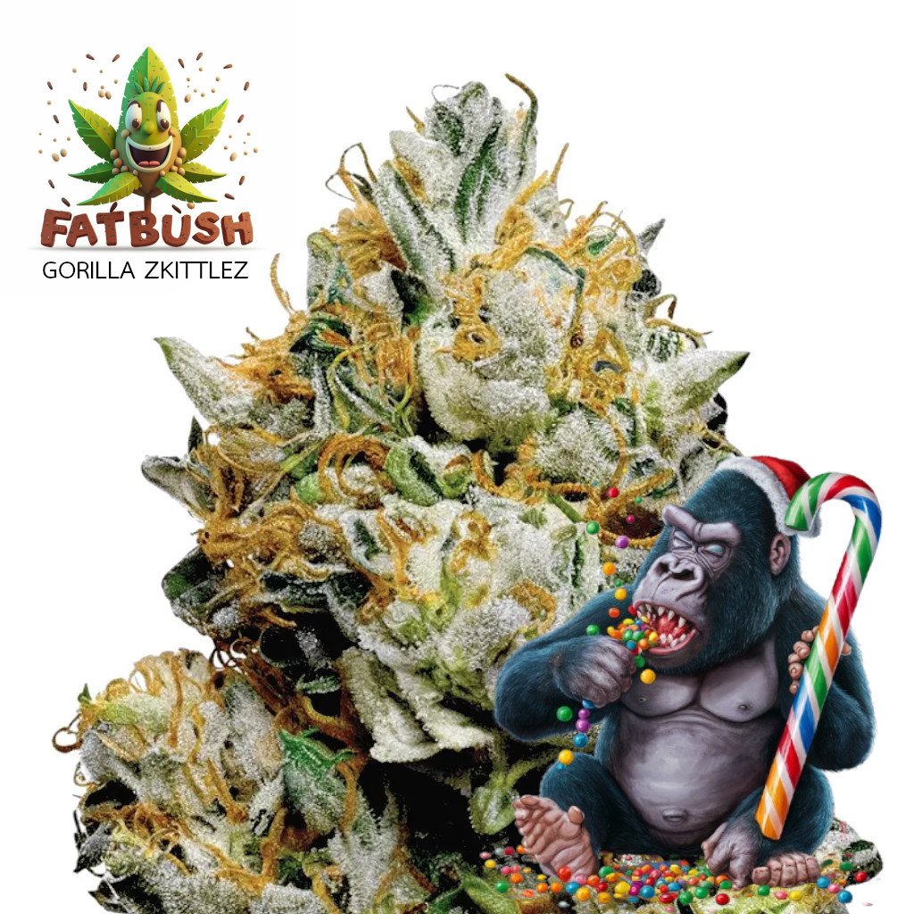 kannabiksen siemeniä